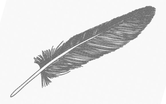 Feather One Line